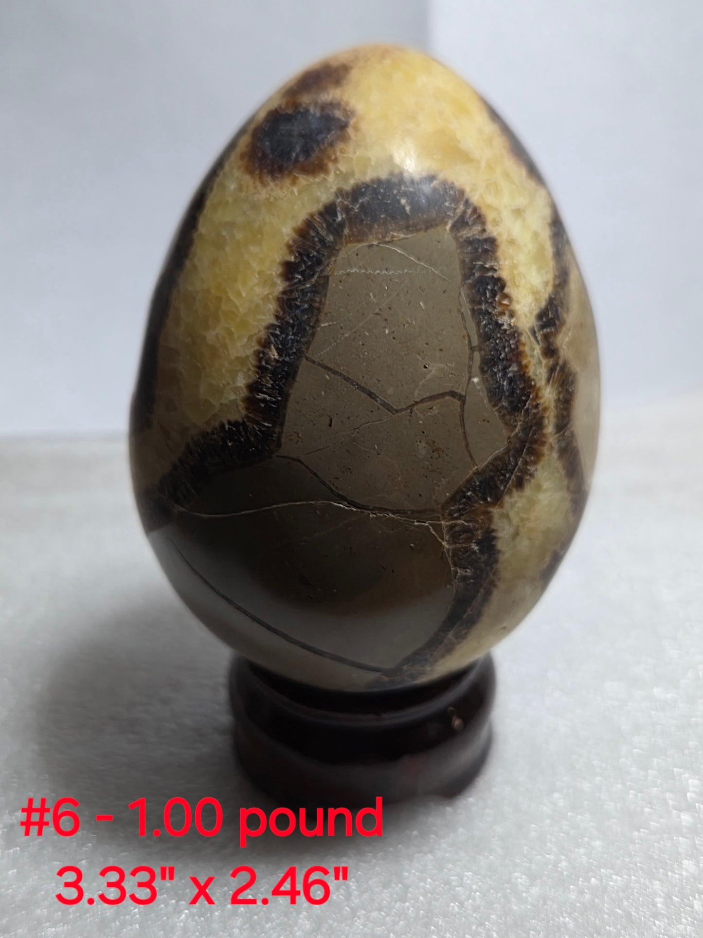 Septarian Eggs/Flame