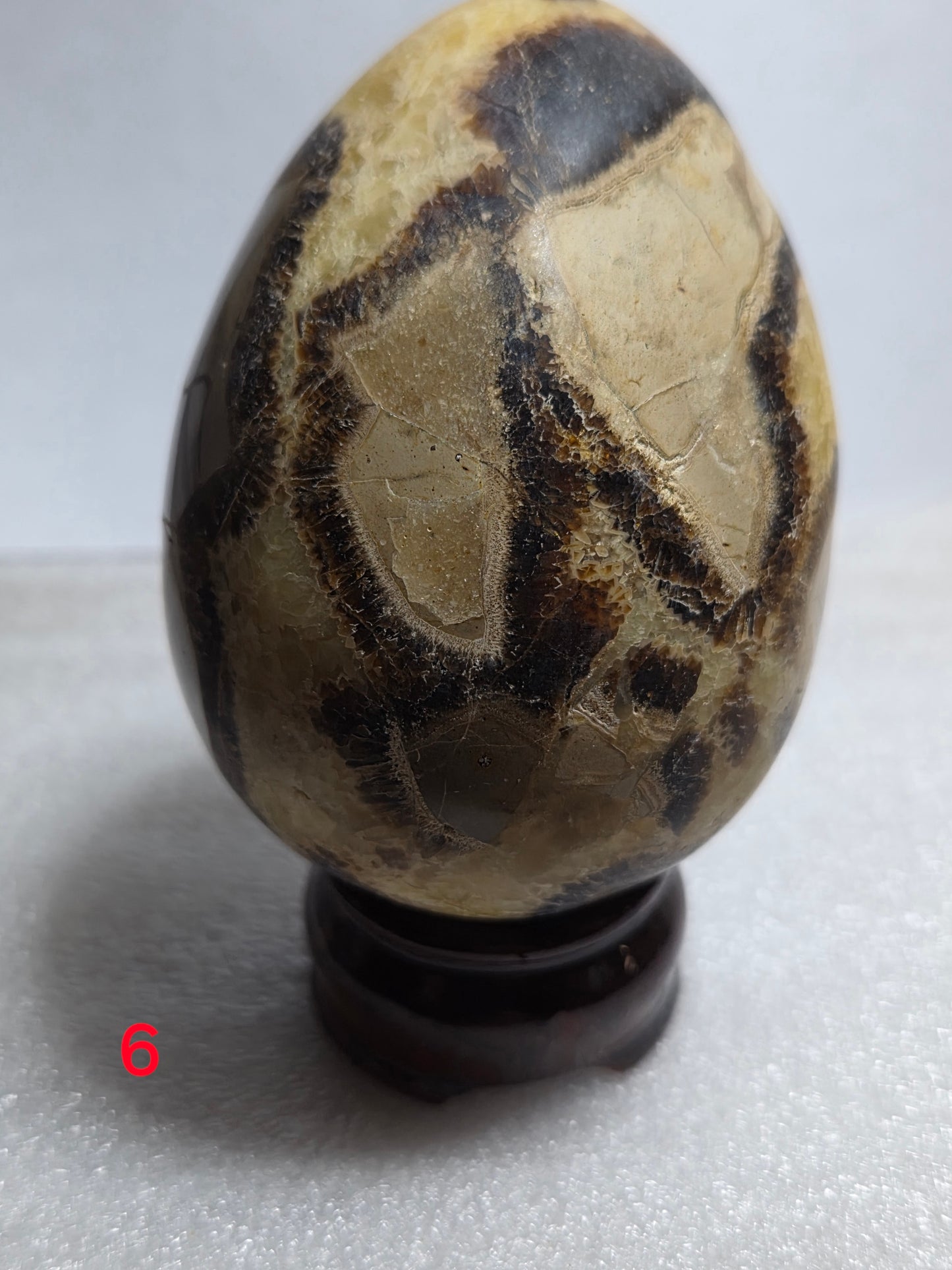 Septarian Eggs/Flame