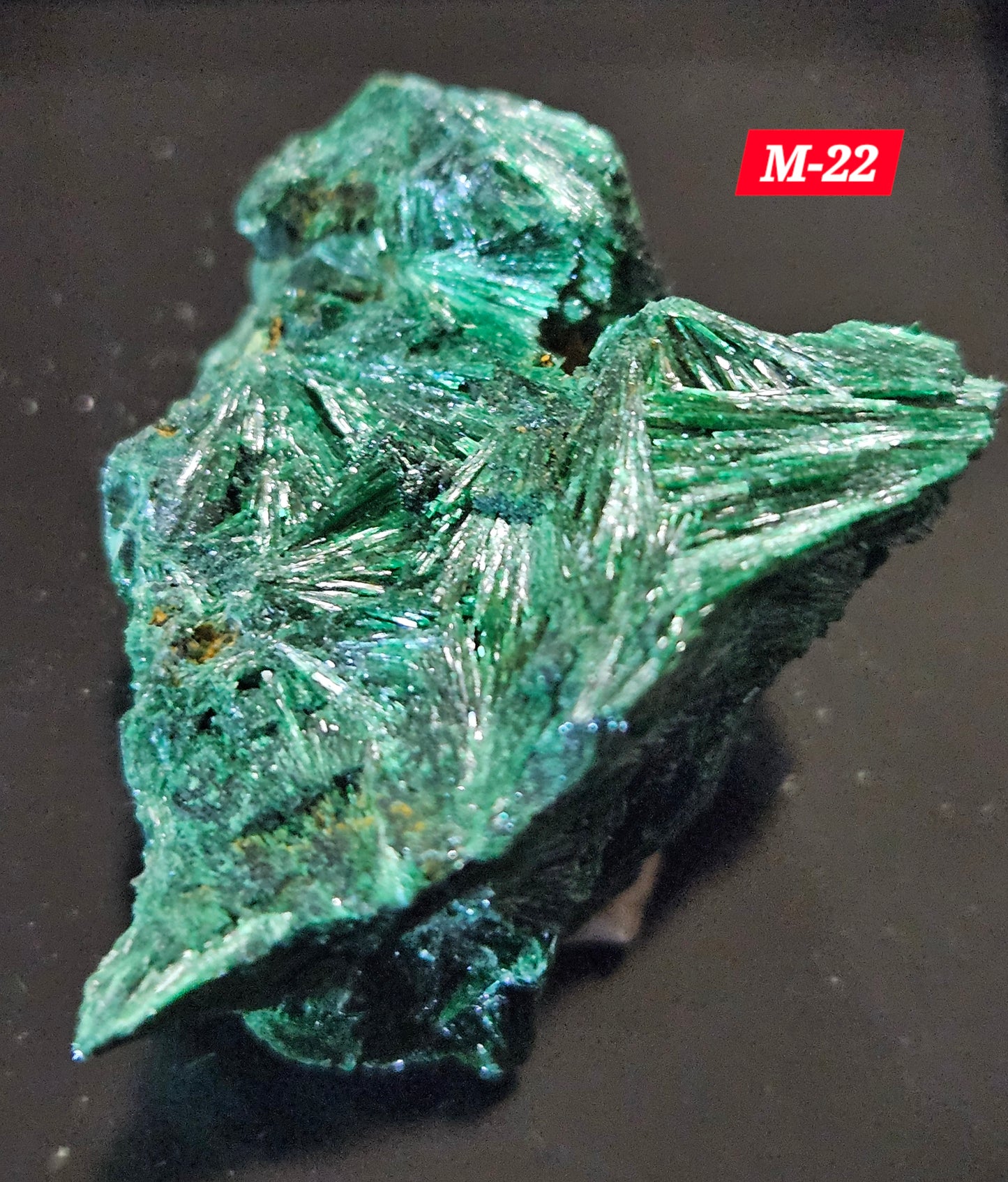 Malachite (Velvet/Raw)