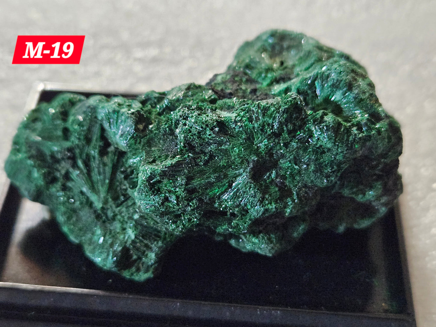 Malachite (Velvet/Raw)