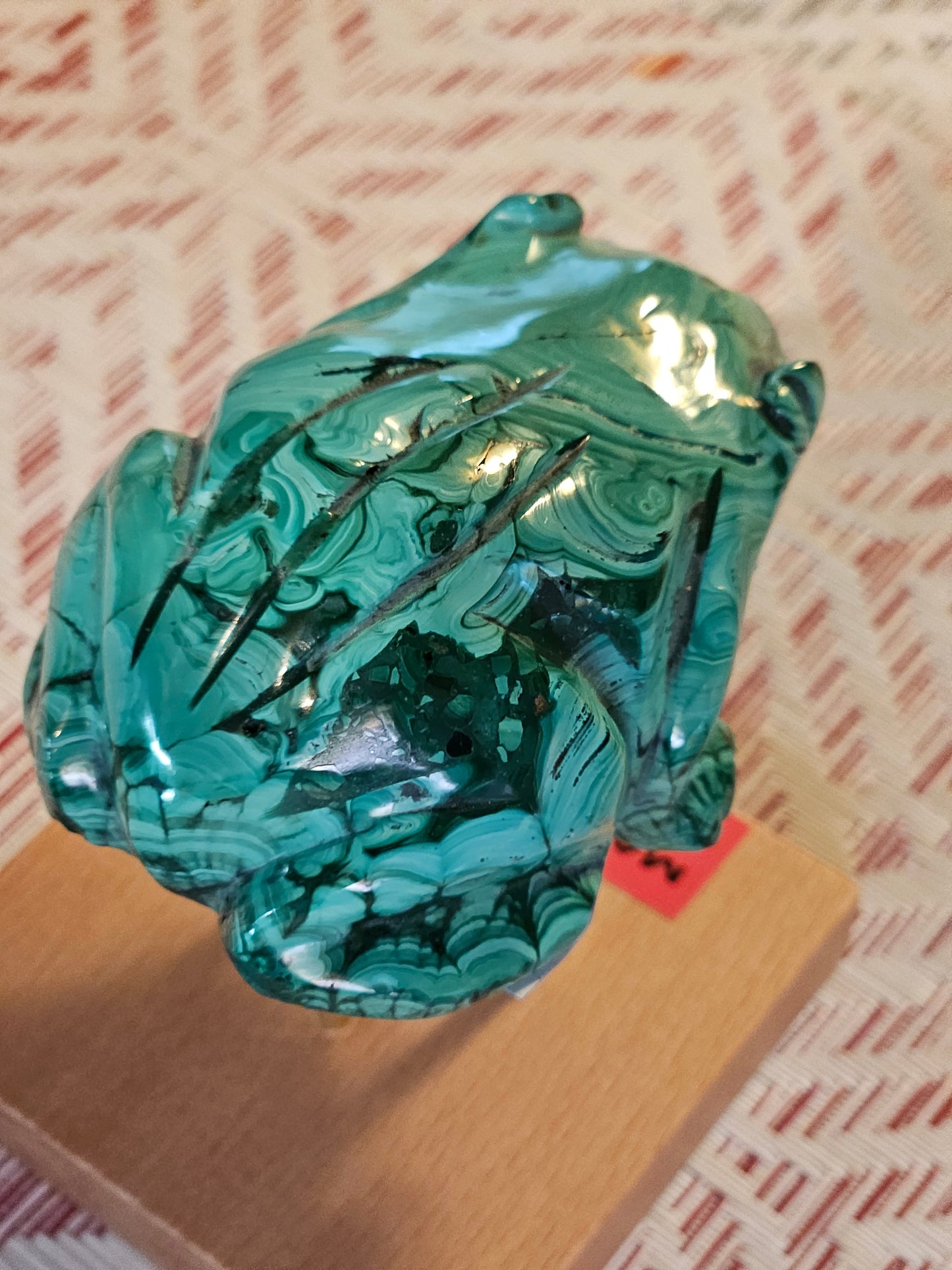 Malachite Frog