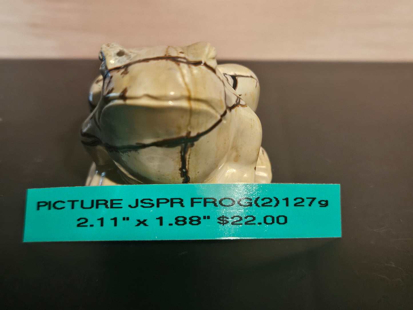 Picture Jasper  - Frog #2