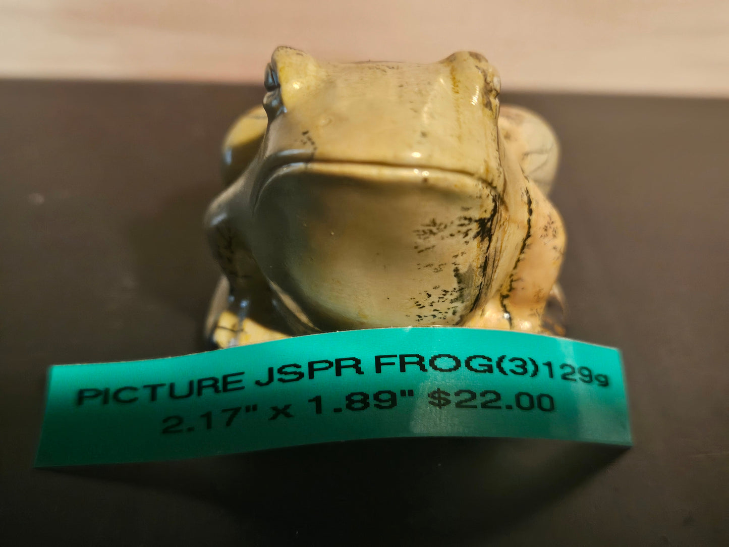 Picture Jasper - Frog #3
