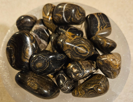 Stromatolite (Peru) Tumble Stone (20-35mm)