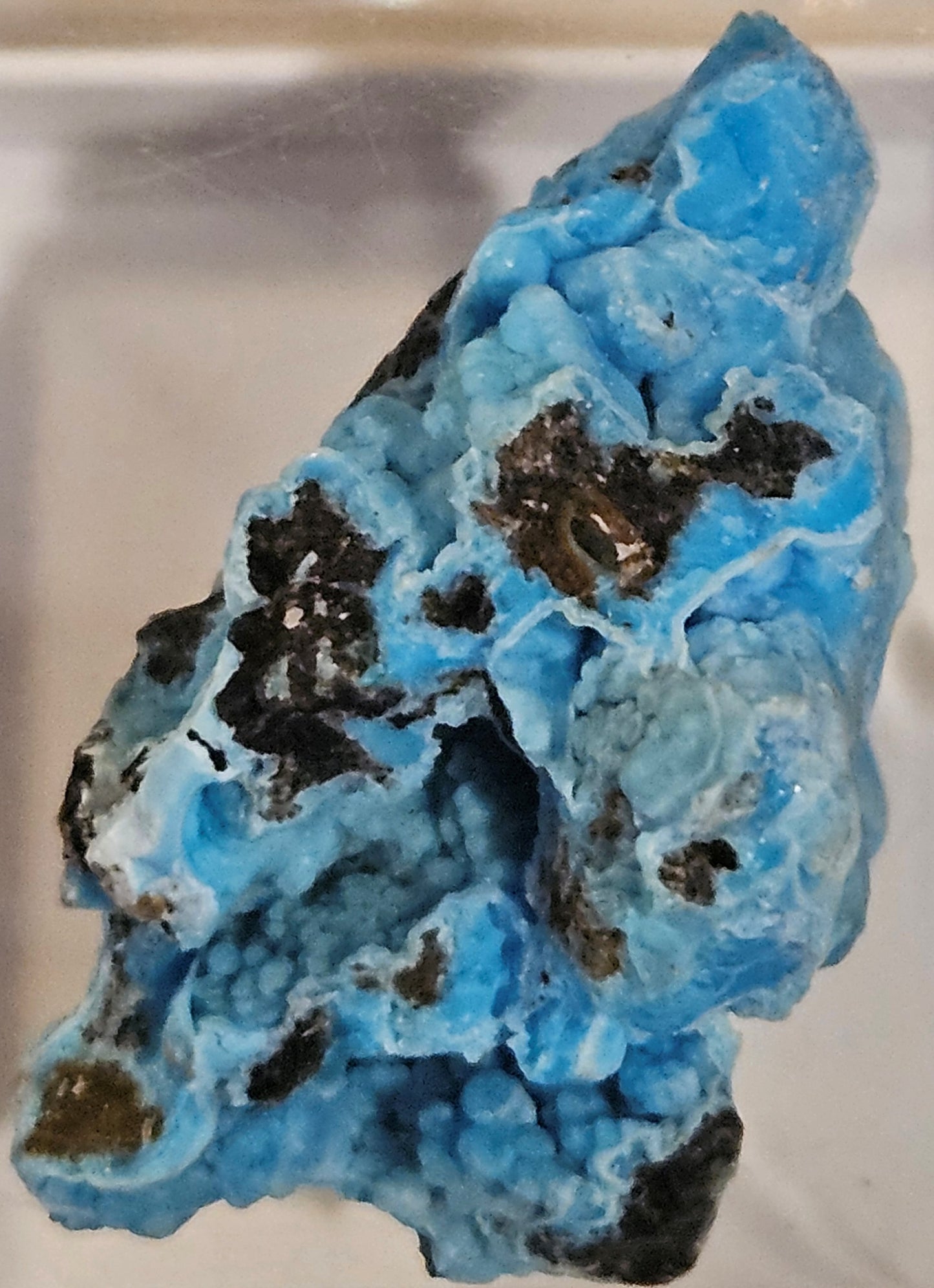 Vibrant Blue "Botryoidal Gearksutite and Cupro-Allophane" - China