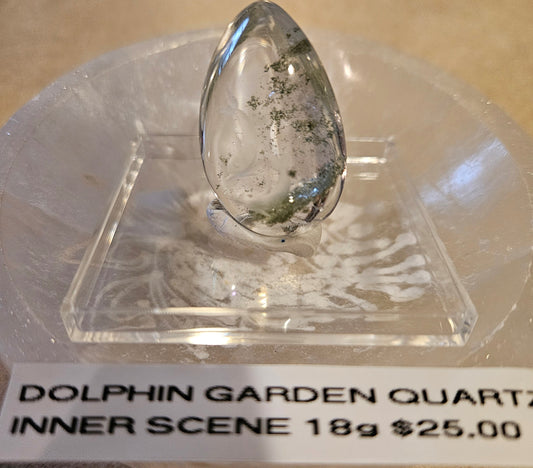 Dolphin Garden Quartz 1