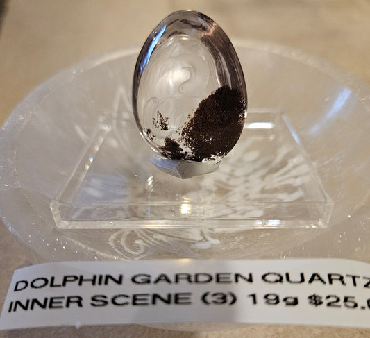 Dolphin Garden Quartz 3