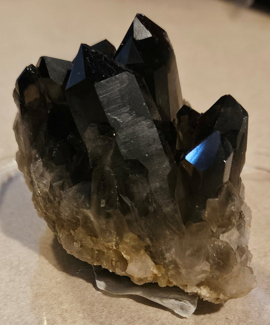 Dark Smoky Quartz Crystal Cluster [Brazil]