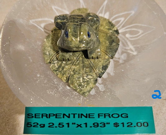 Serpentine Frog on Leaf 2