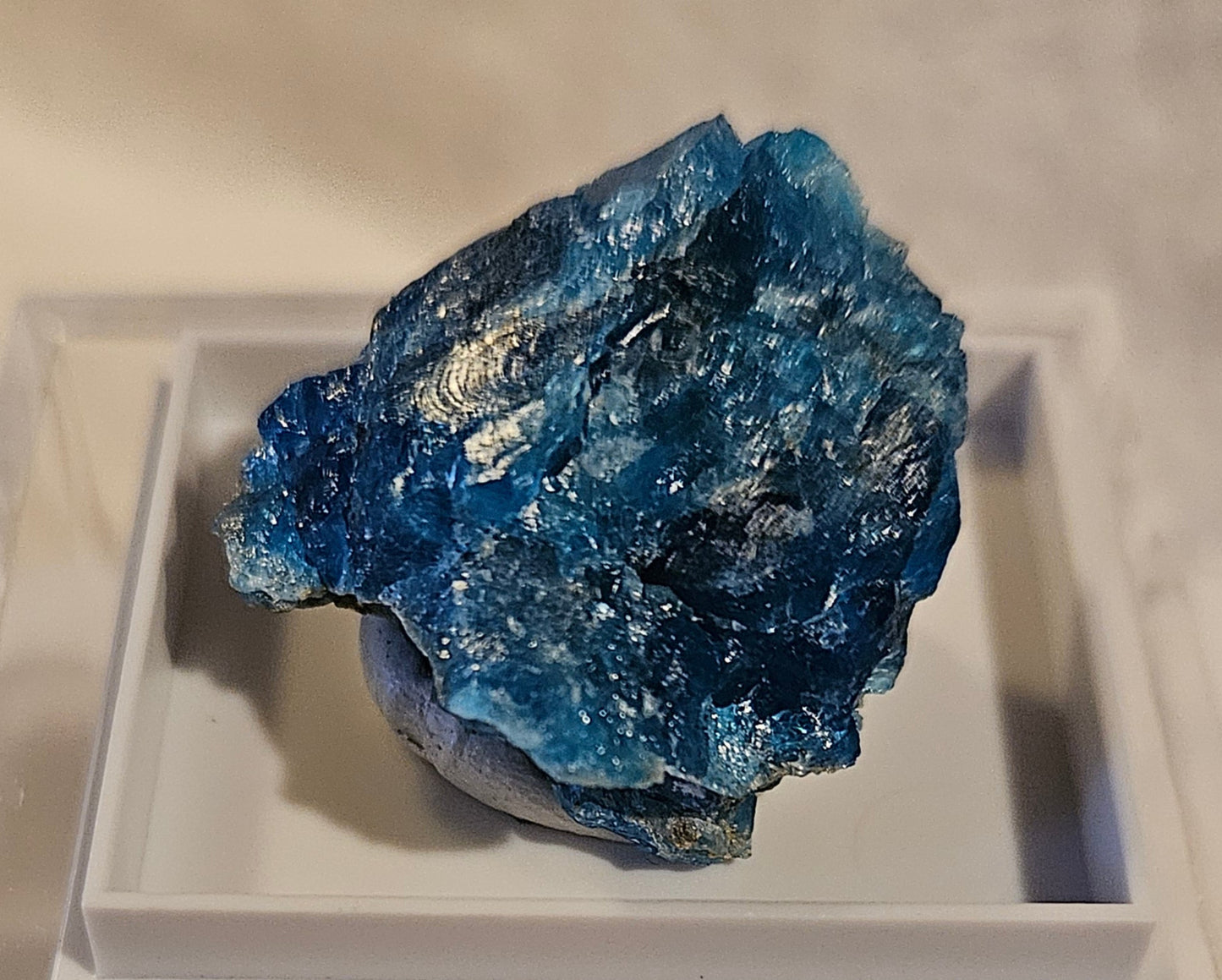 Blue Apatite [Raw] Madagascar