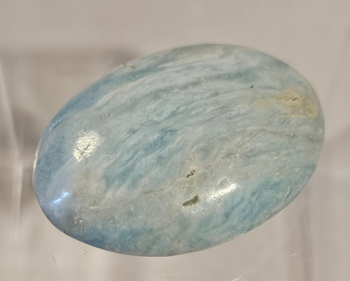 Caribbean Calcite Palm [2]