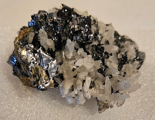 Galena on Pyrite & Quartz (Peru)