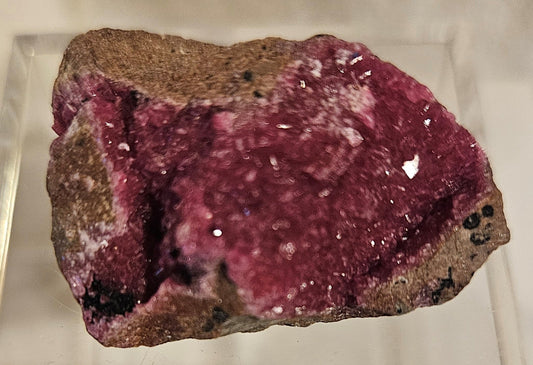 Cobaltoan Calcite [1] (Democratic Republic of the Congo)