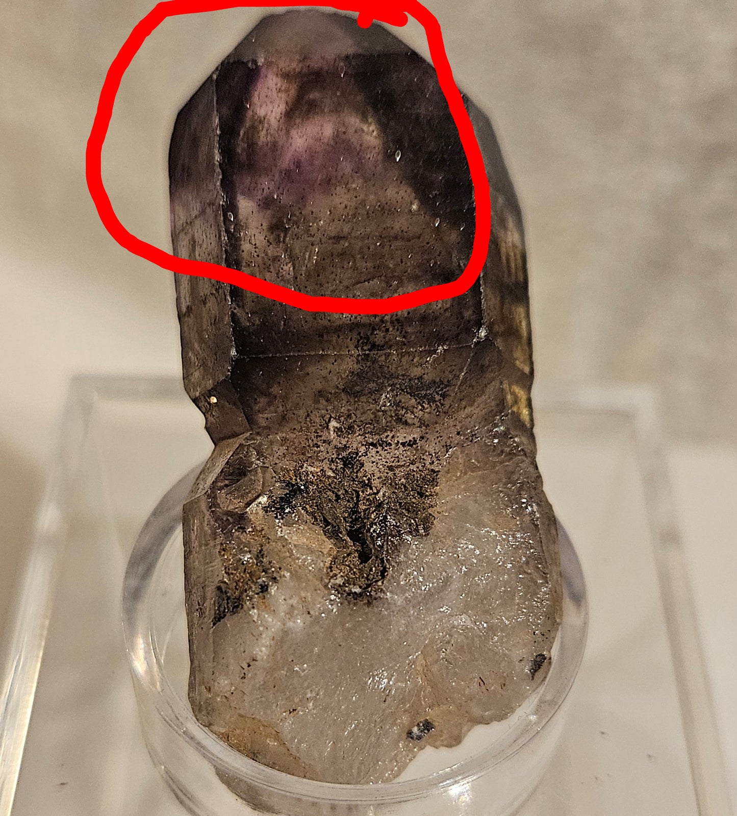 Shangaan Amethyst Crystal [Zimbabwe]