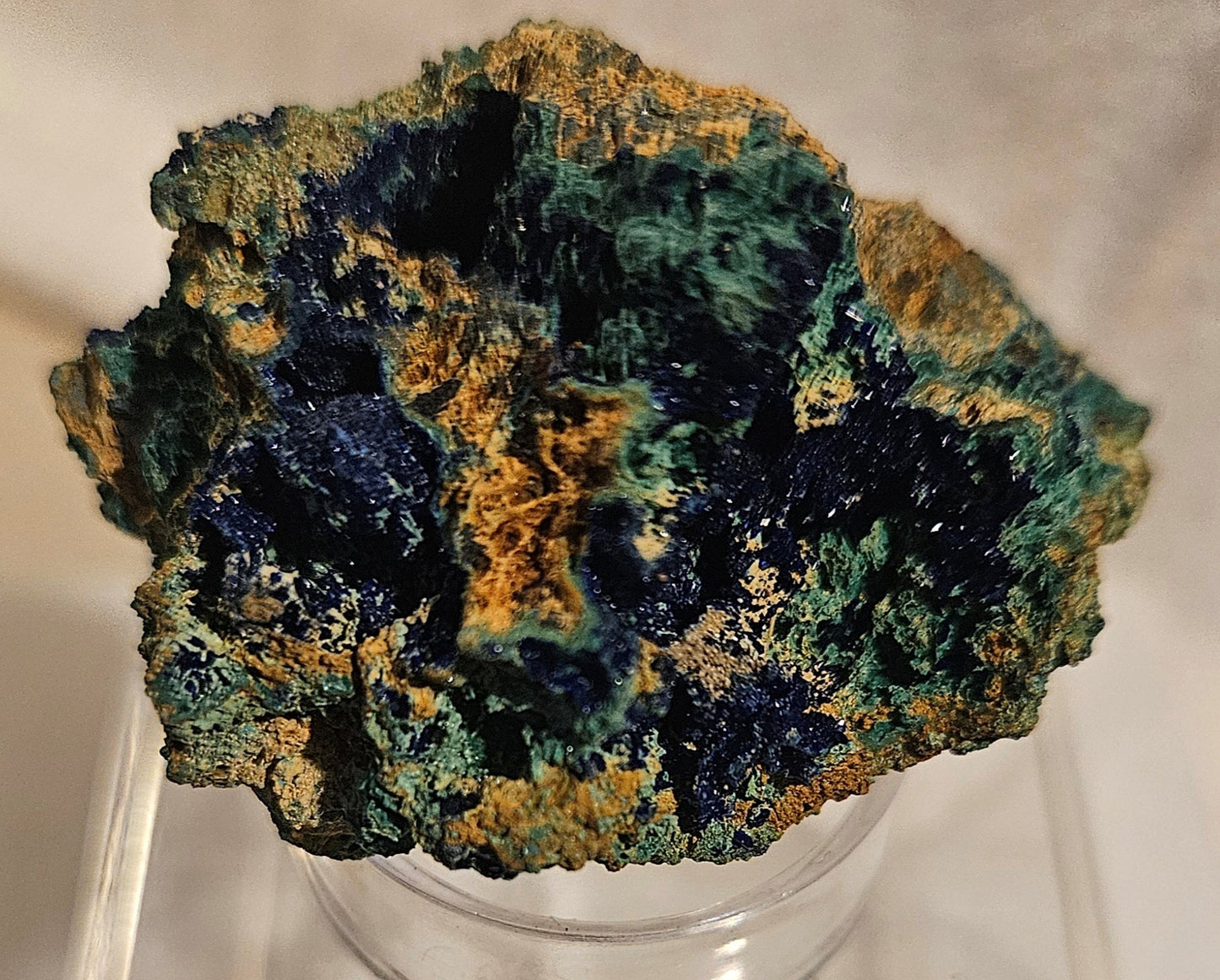 Azurite & Malachite on Dolomite w/ sparkling Druzy [#1] Morocco