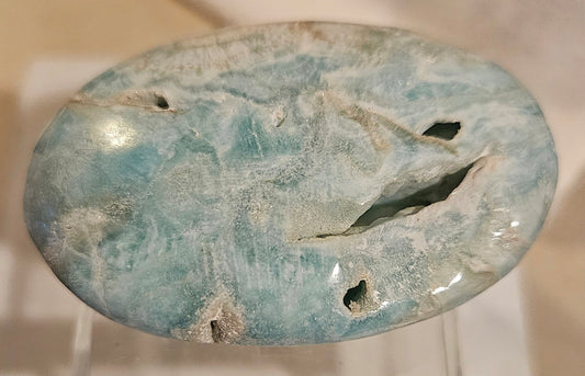 Caribbean Calcite Palm Stone [#4] Pakistan