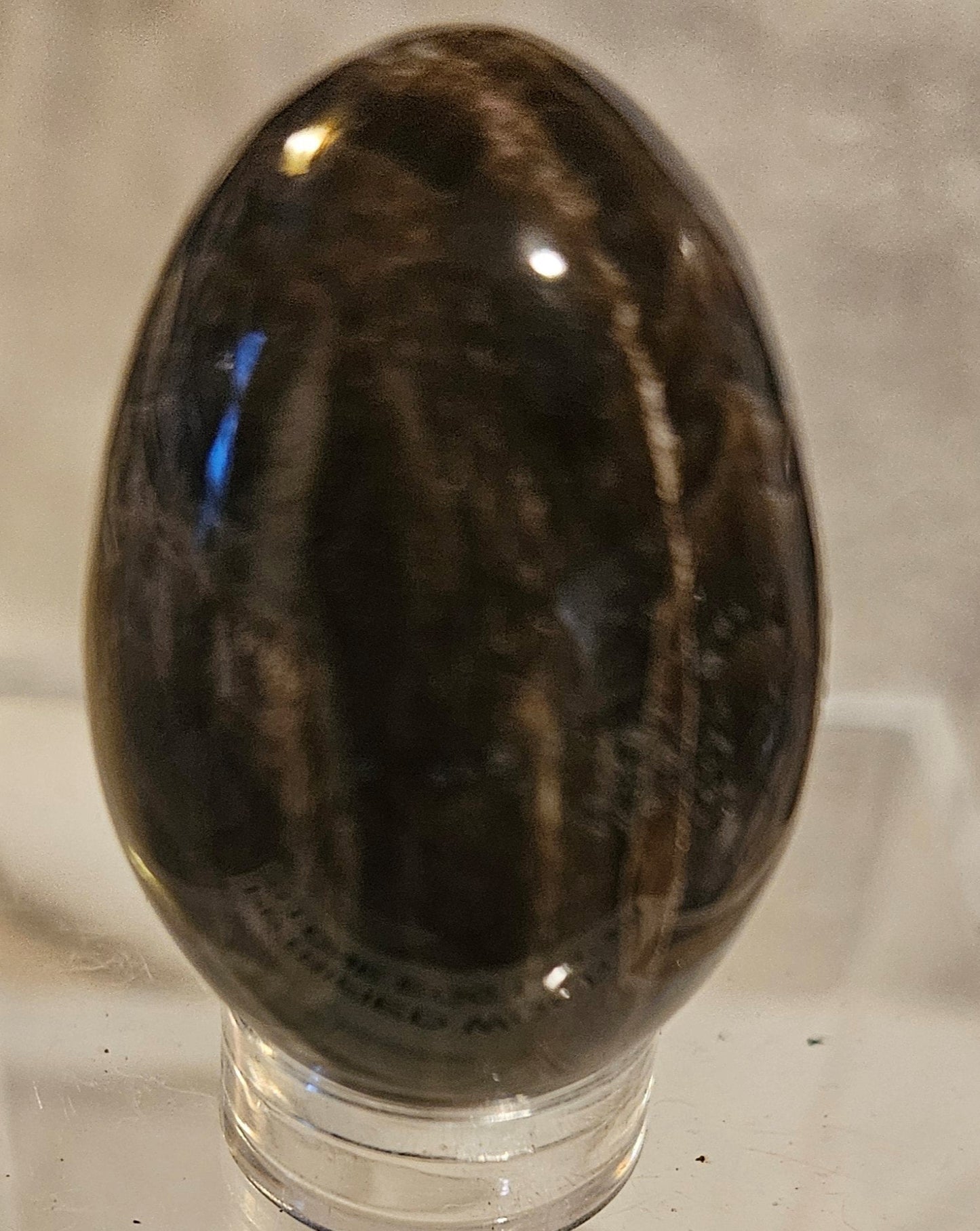 Petrified Wood Egg [Australia]