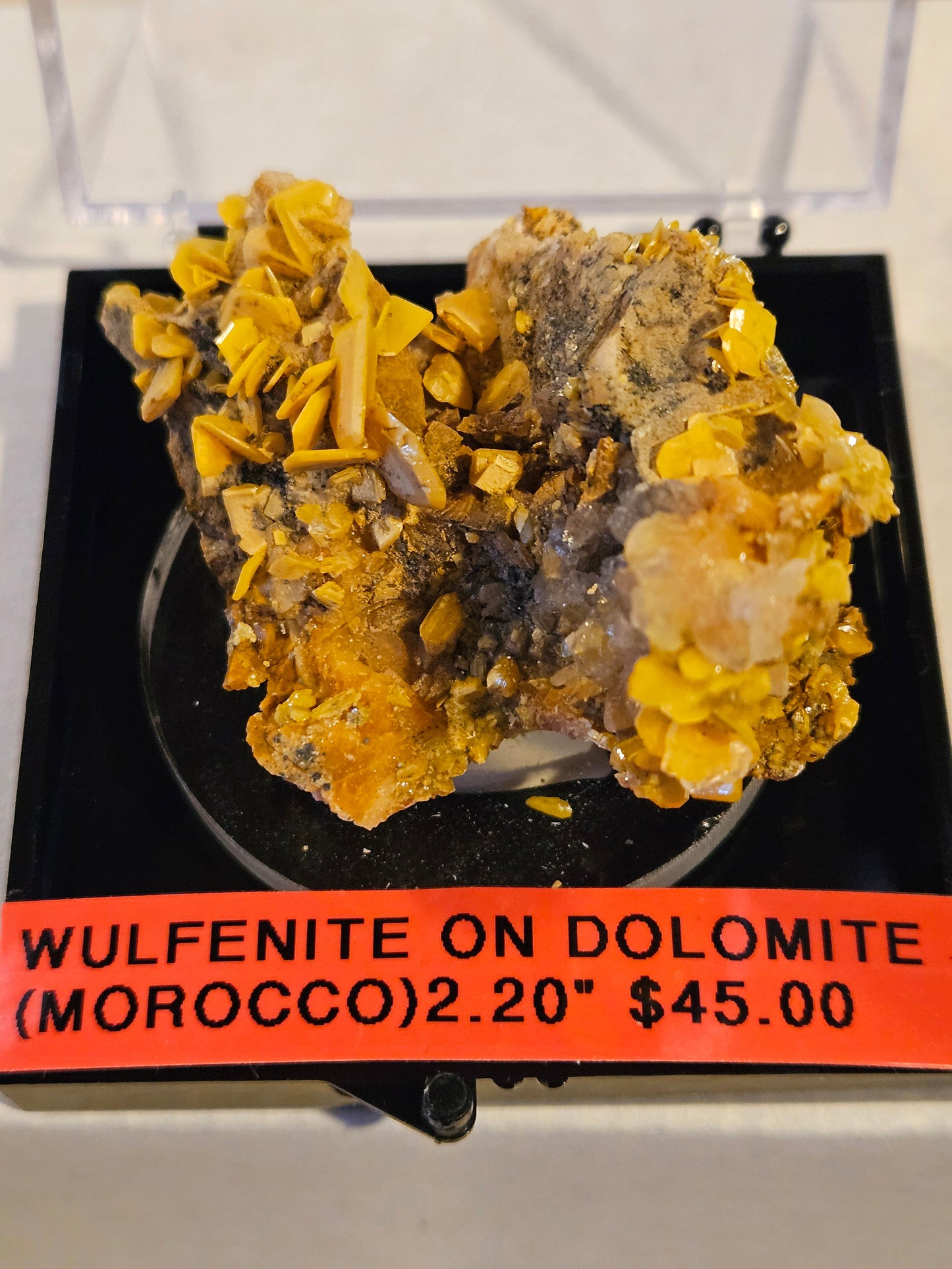 Wulfenite on Dolomite (2) - Bright Yellow [Morocco]