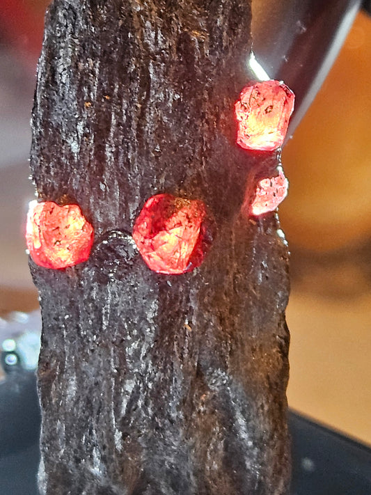 Red Ember Garnets in Graphite [4] [#1]