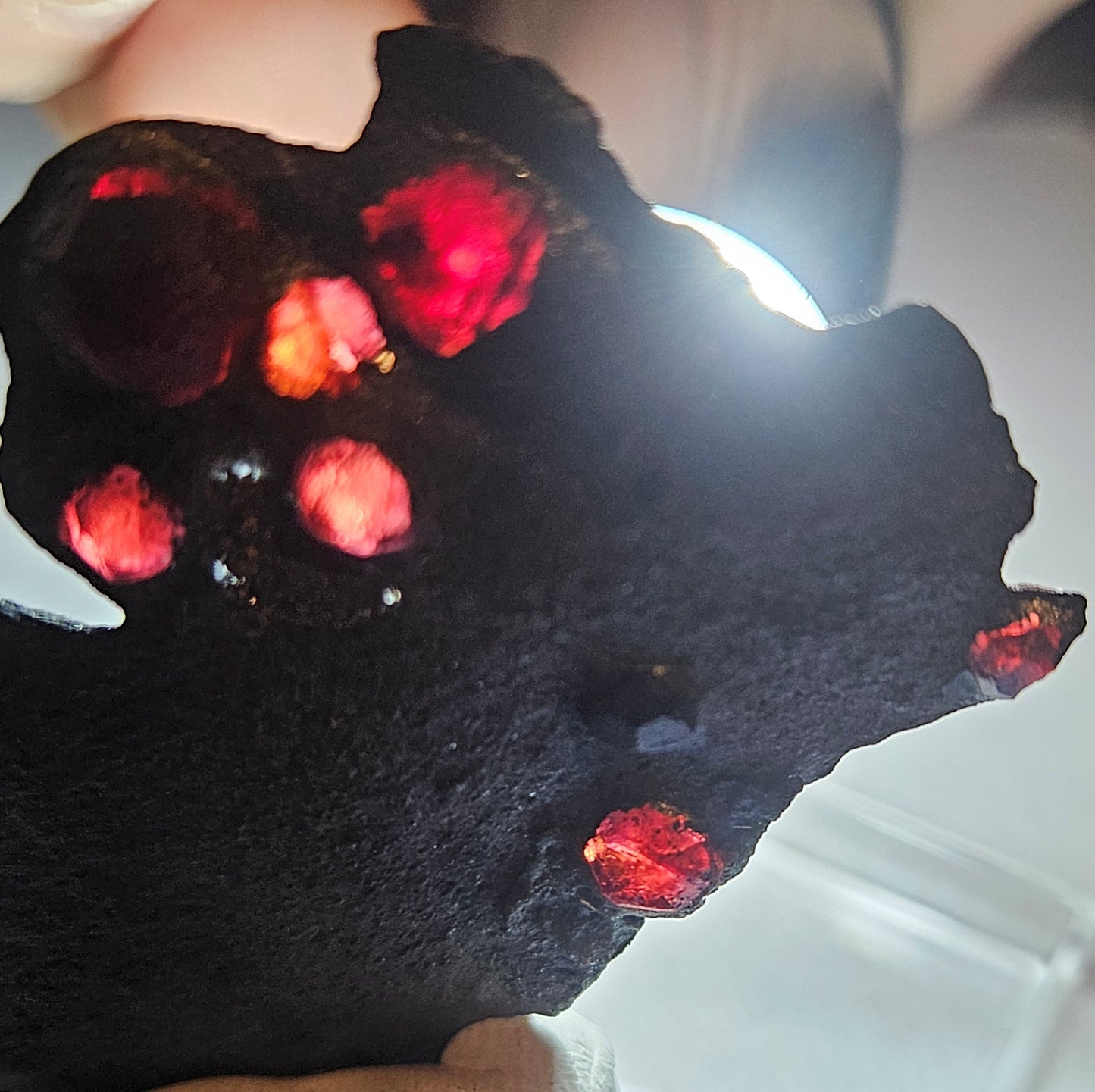 Red Ember Garnets in Graphite [9] [#2]