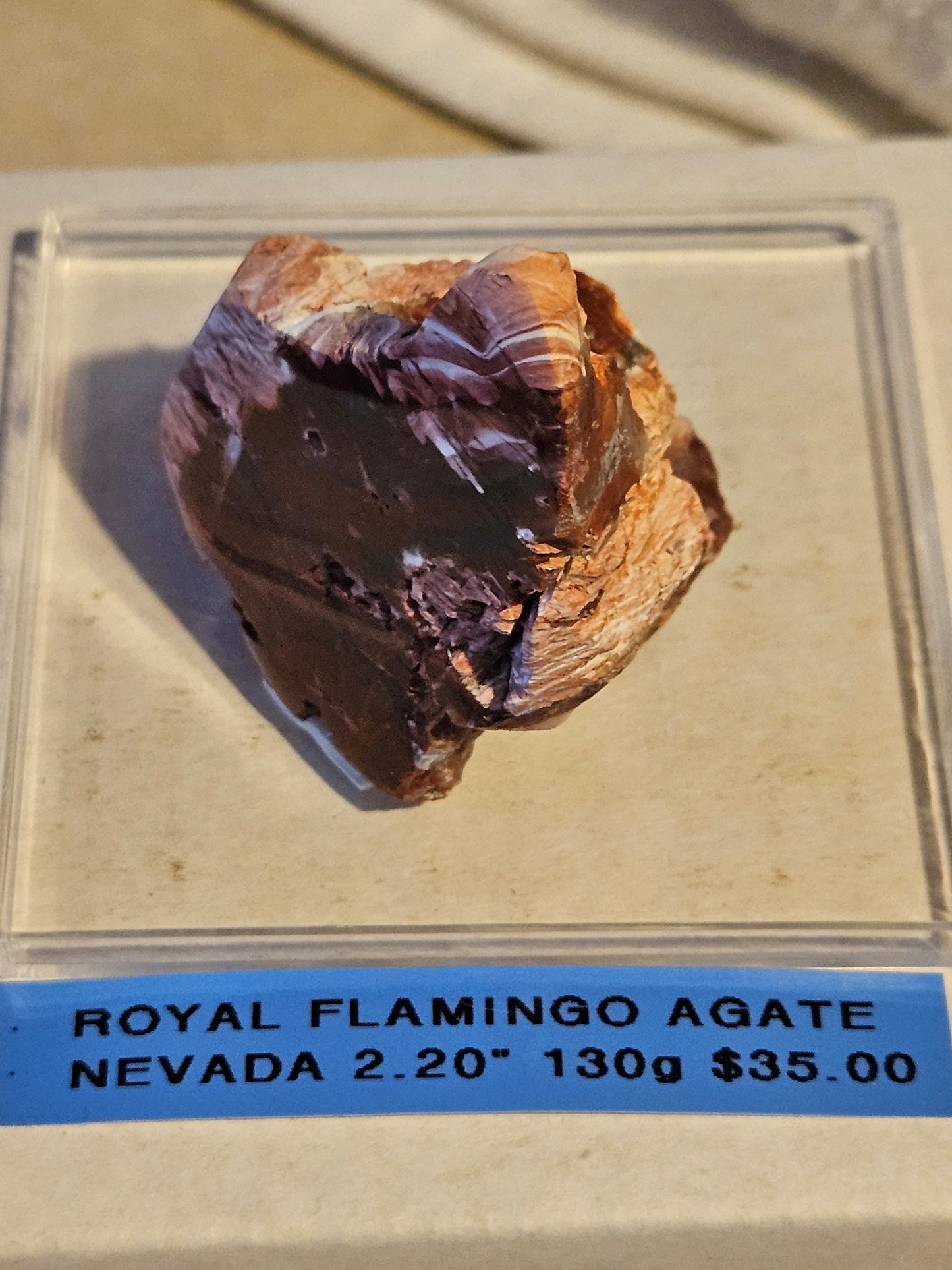 Royal Flamingo Agate [Howardite] - (Nevada)