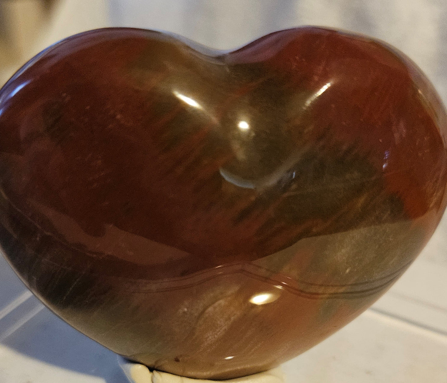 Polished Triassic Petrified Wood Heart - [Madagascar]  - 220 Million Years
